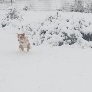 Meet your Posher, Deborah